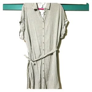 Forever 21 Plus Pinstriped Shirt Dress